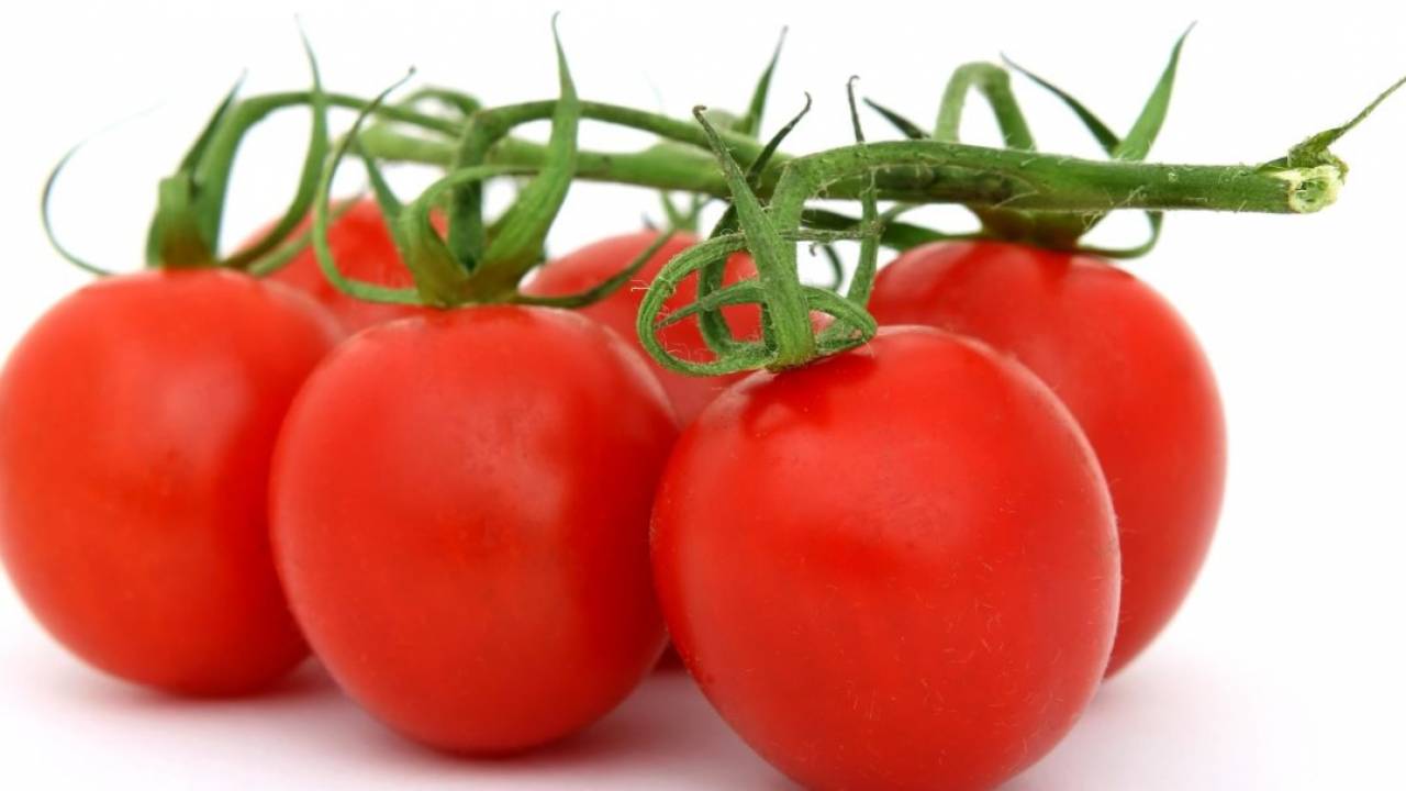 Азербайджанские помидоры запретили в Казахстане 