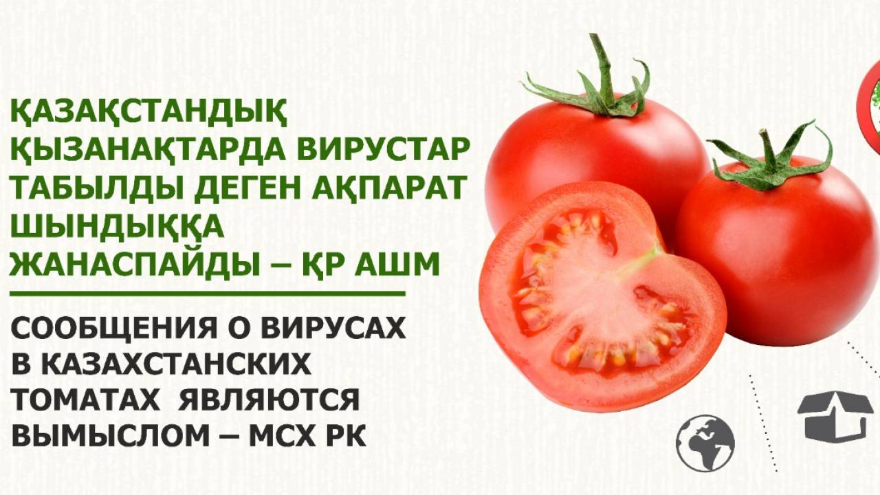 Являются вымыслом: Минсельхоз РК ответило на заявления РФ о казахстанских томатах