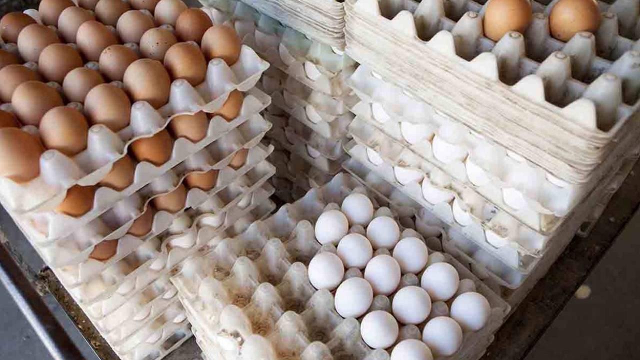В казахстанских регионах яйца подорожали в два раза