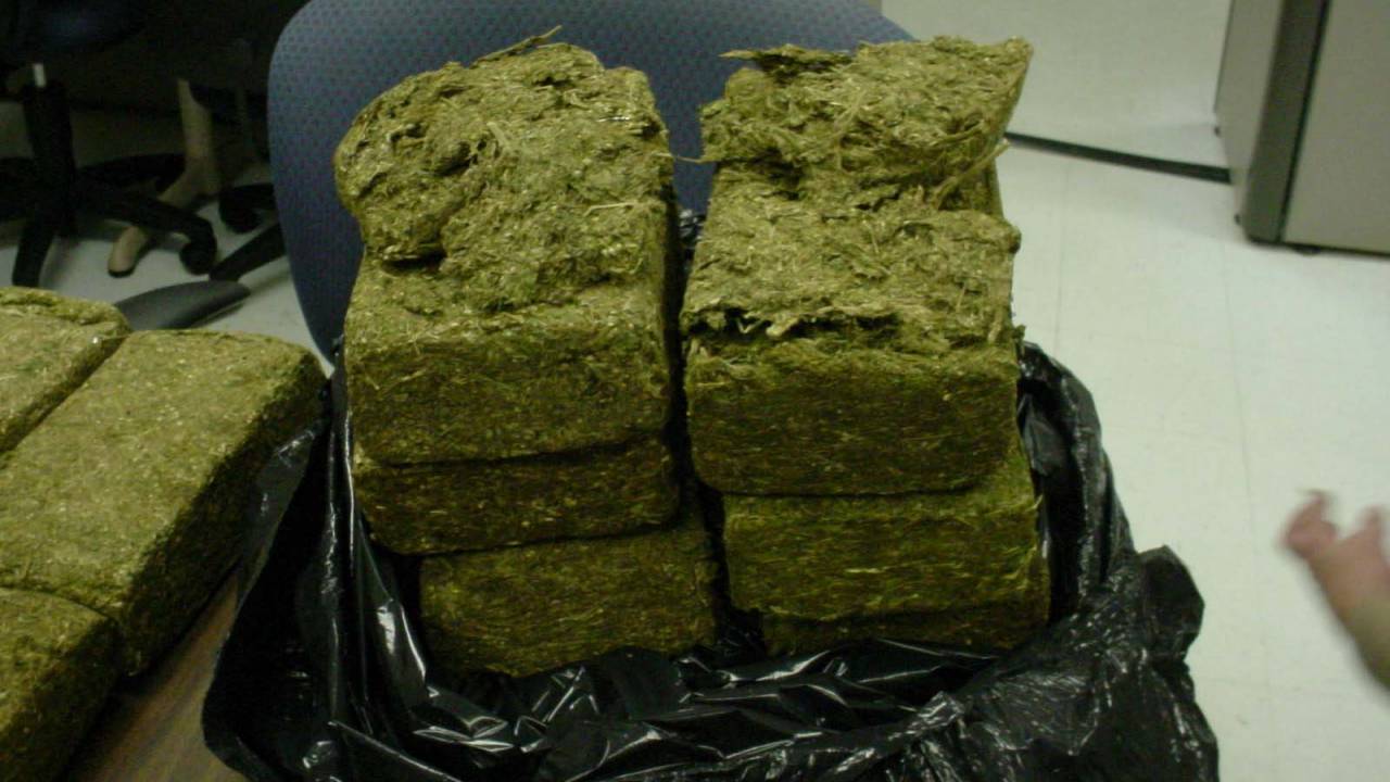 700 кг наркотиков – в Туркестанской области осудили двух наркокурьеров
