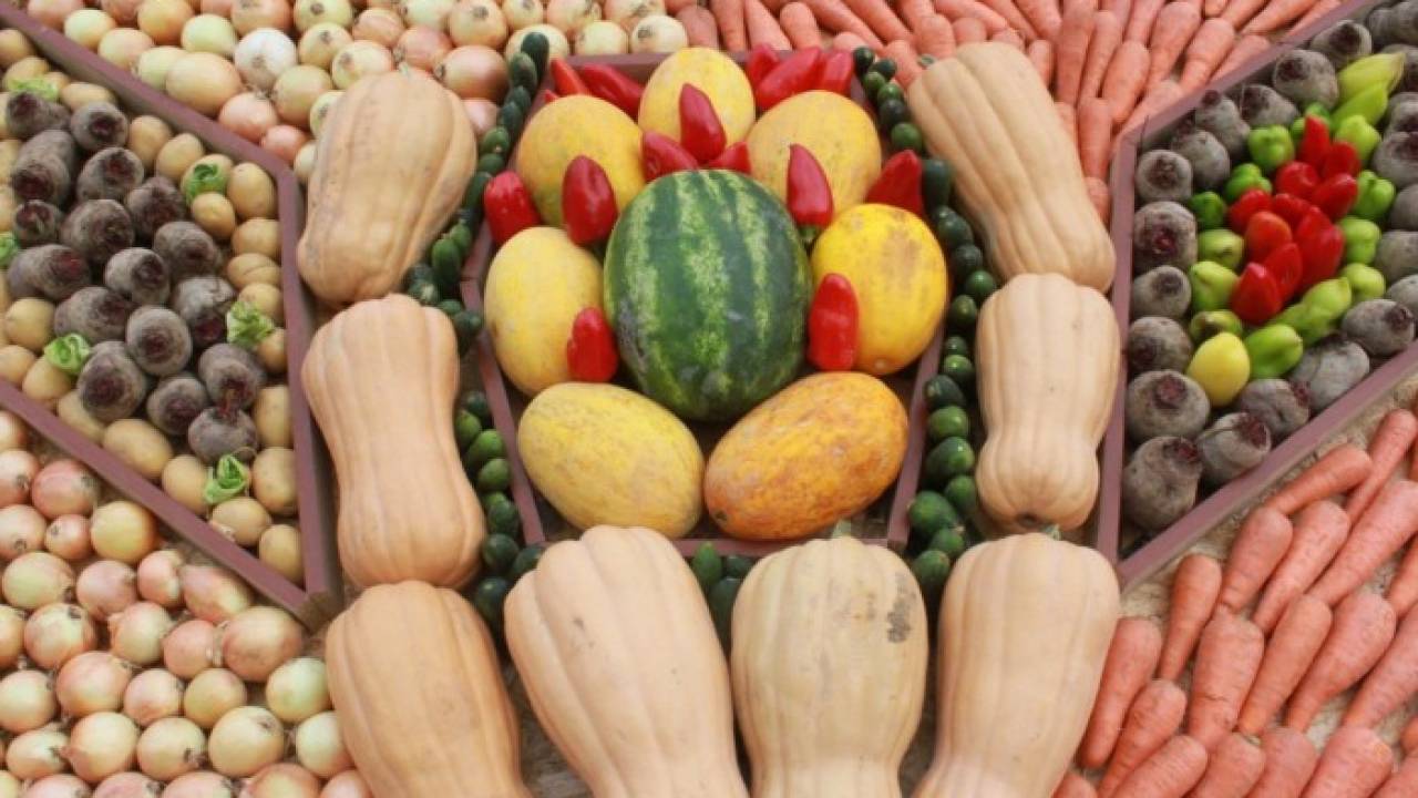 Производители сельхозпродукции в Атырау получили субсидий на 3