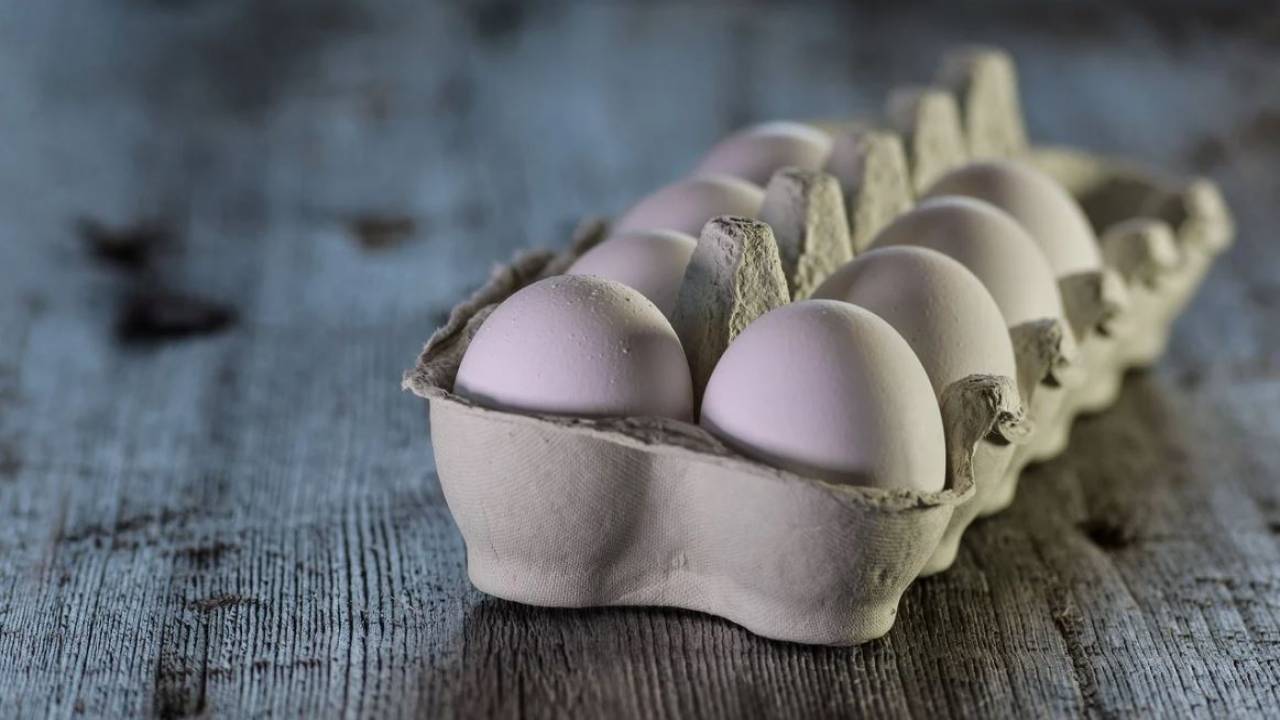 Сенатор возмущен ценами на яйца и курицу