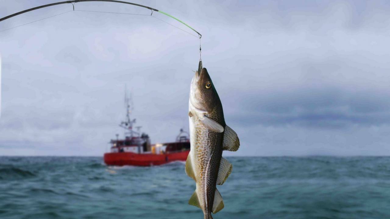 Токаев подписал закон о расширении рыболовной зоны на Каспии