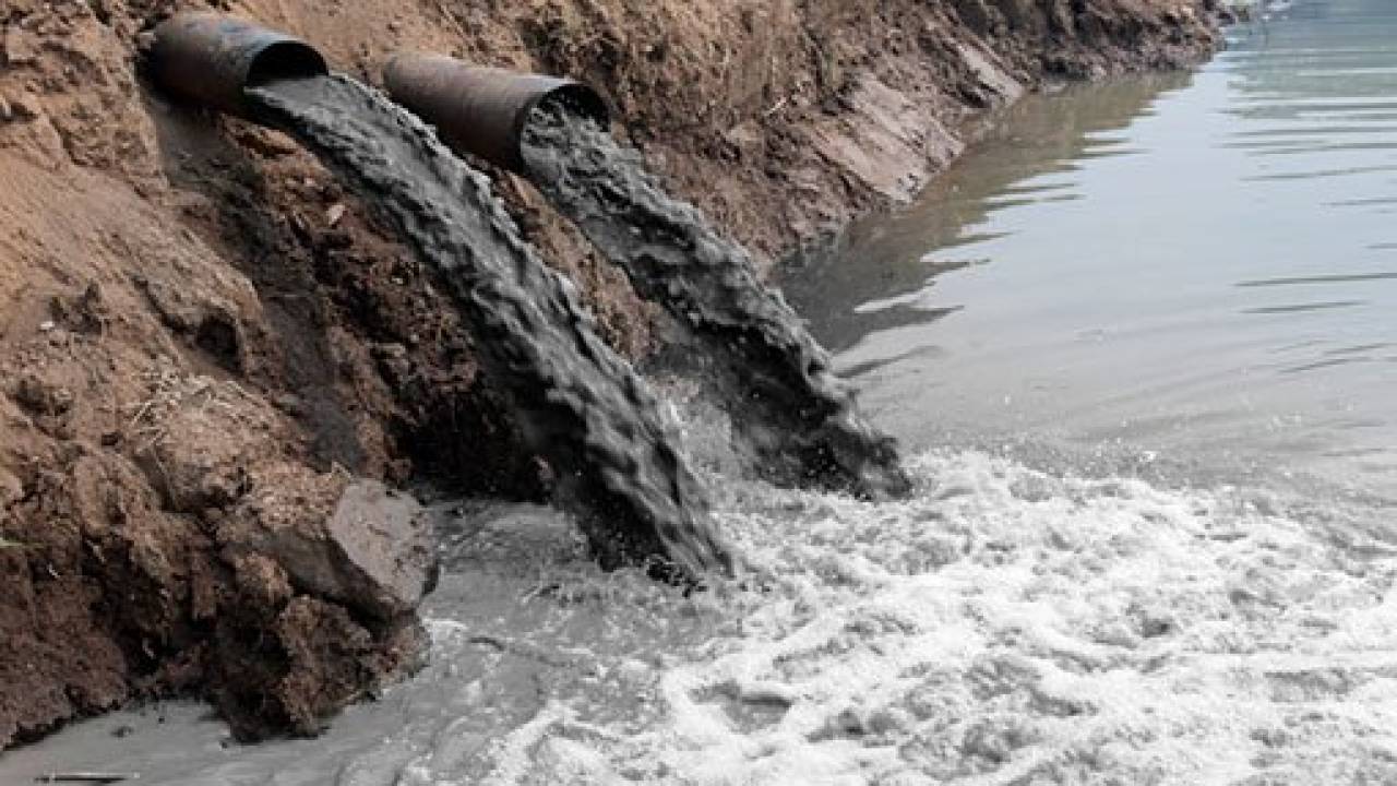 В Карагандинской области на видео сняли слив нечистот в реку Сарысу