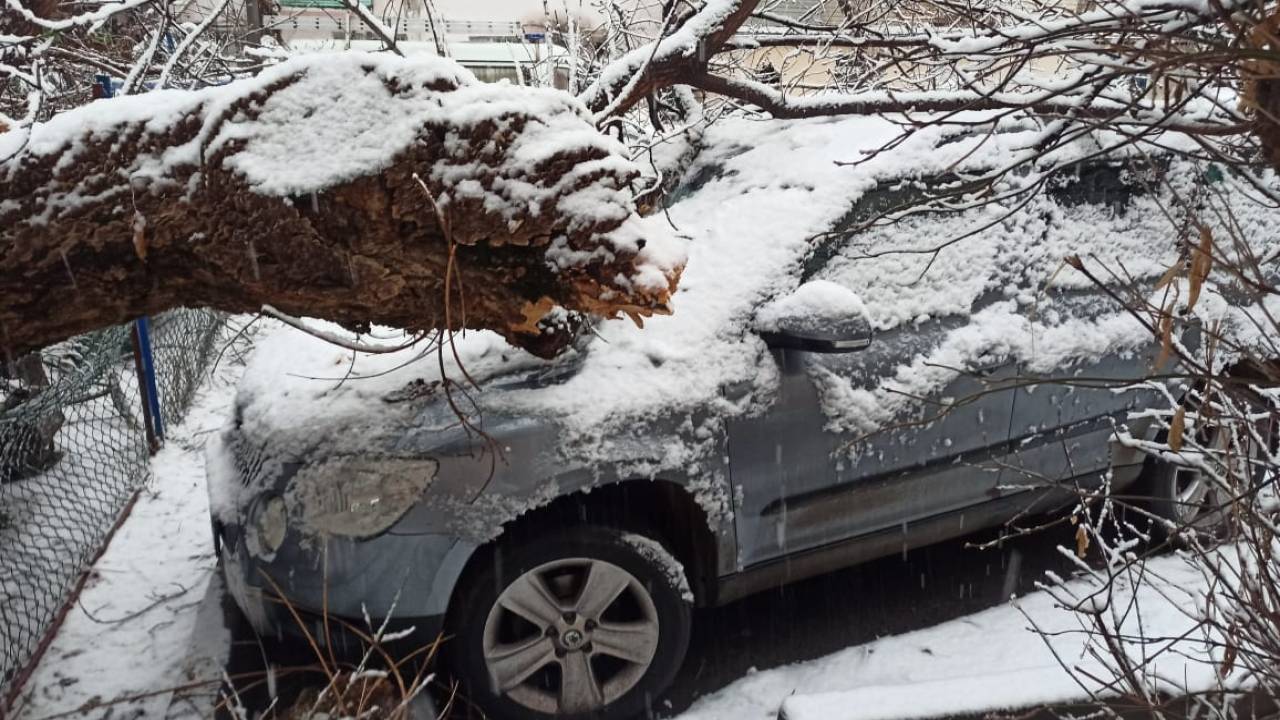 Деревья упали на авто в Алматы из-за снега