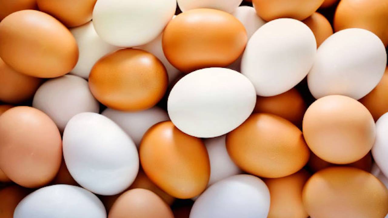 Казахстан вернул 36 тыс. яиц в Россию 
