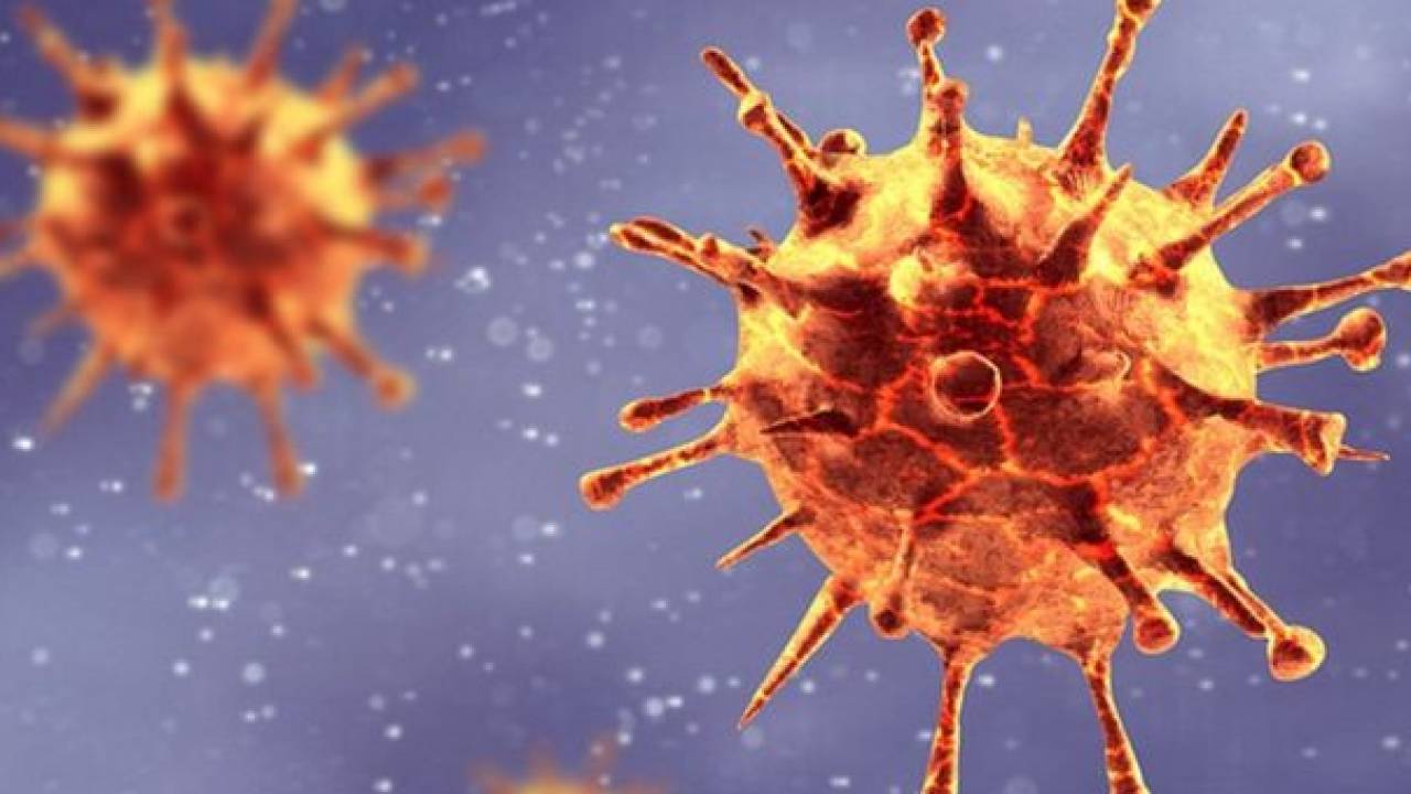 Минздрав прокомментировал появление "алматинского" штамма коронавируса