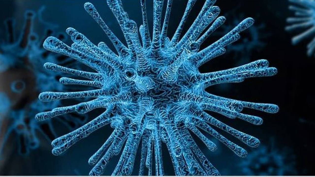 Назвали "алматинским" - в Казахстане мог появиться собственный штамм коронавируса