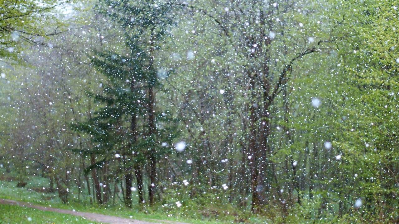 Сильные дожди и снег. Погода на 29 марта в Казахстане
