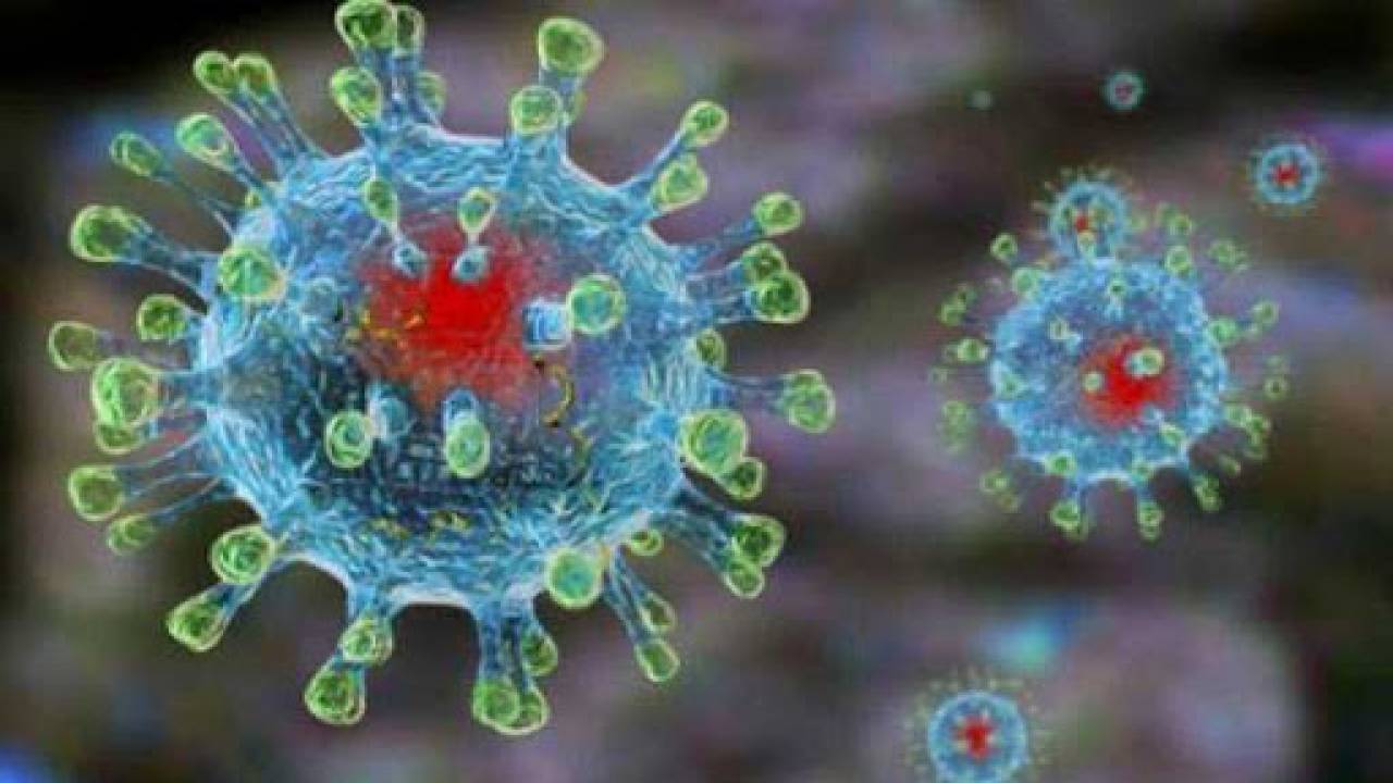 В Казахстане возросло число новых случаев коронавируса