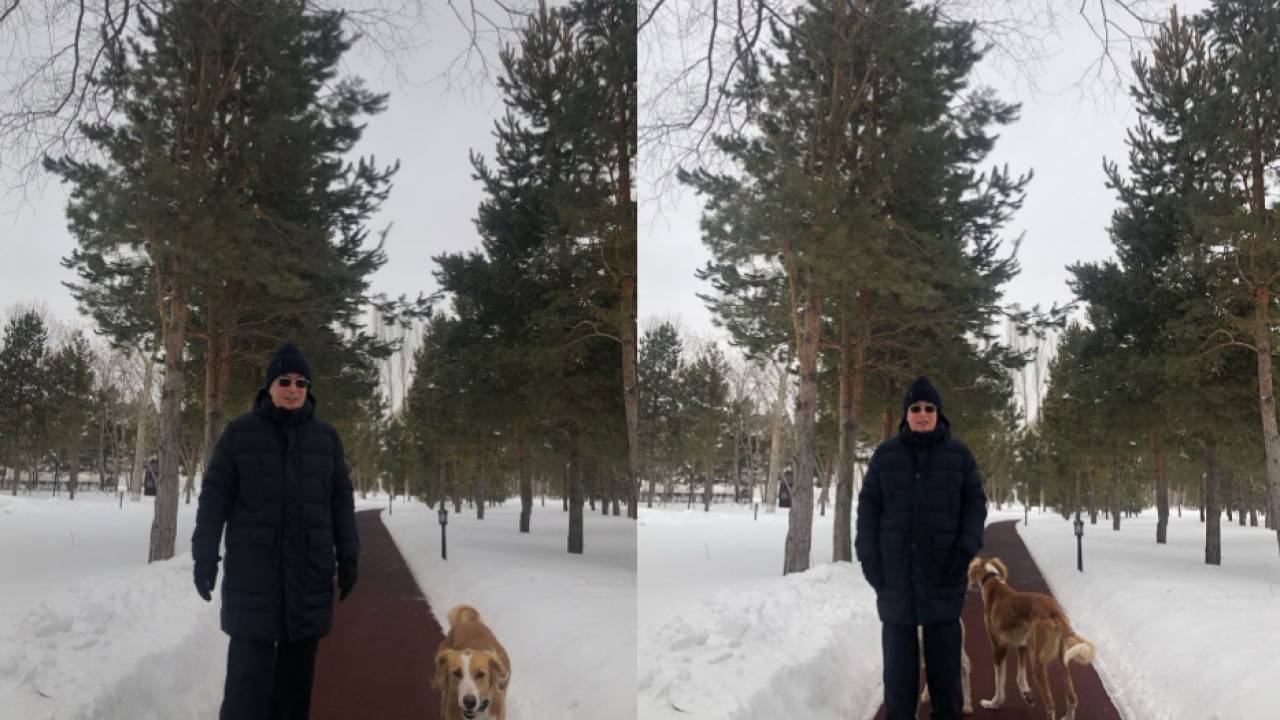 В Сети появилось фото Токаева с собакой