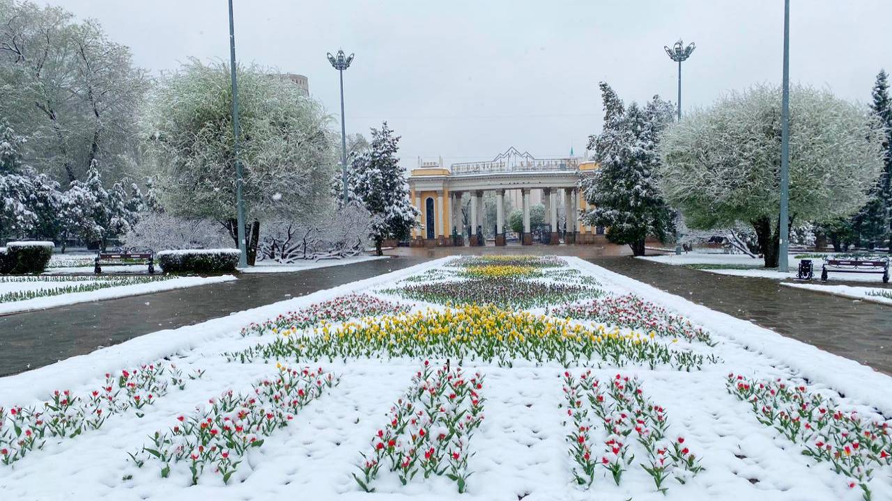 Какая погода ждет жителей Алматы