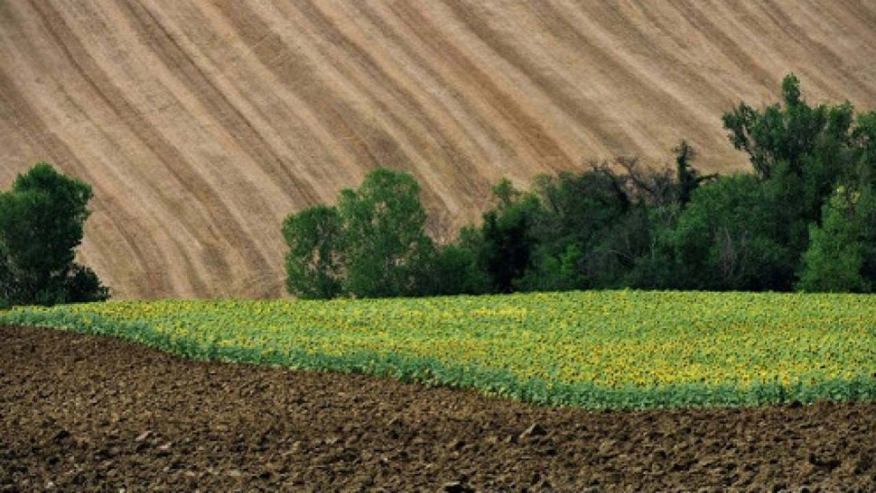 Казахстан использует систему координат 1942 года для управления земельными ресурсами