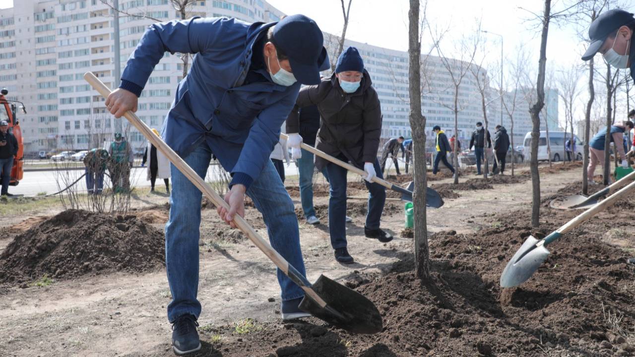Nur Otan ставит задачу высадить 2 млрд деревьев - Байбек