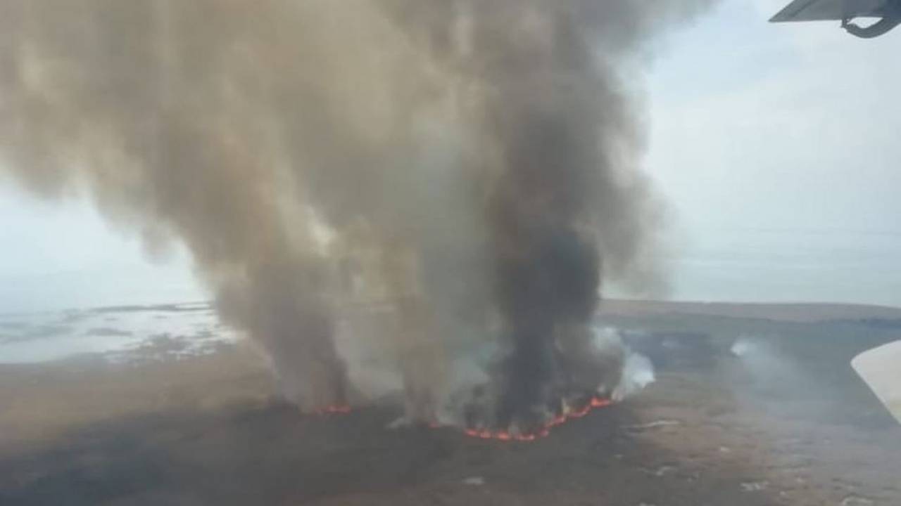 Сосновый бор горит в Павлодарской области