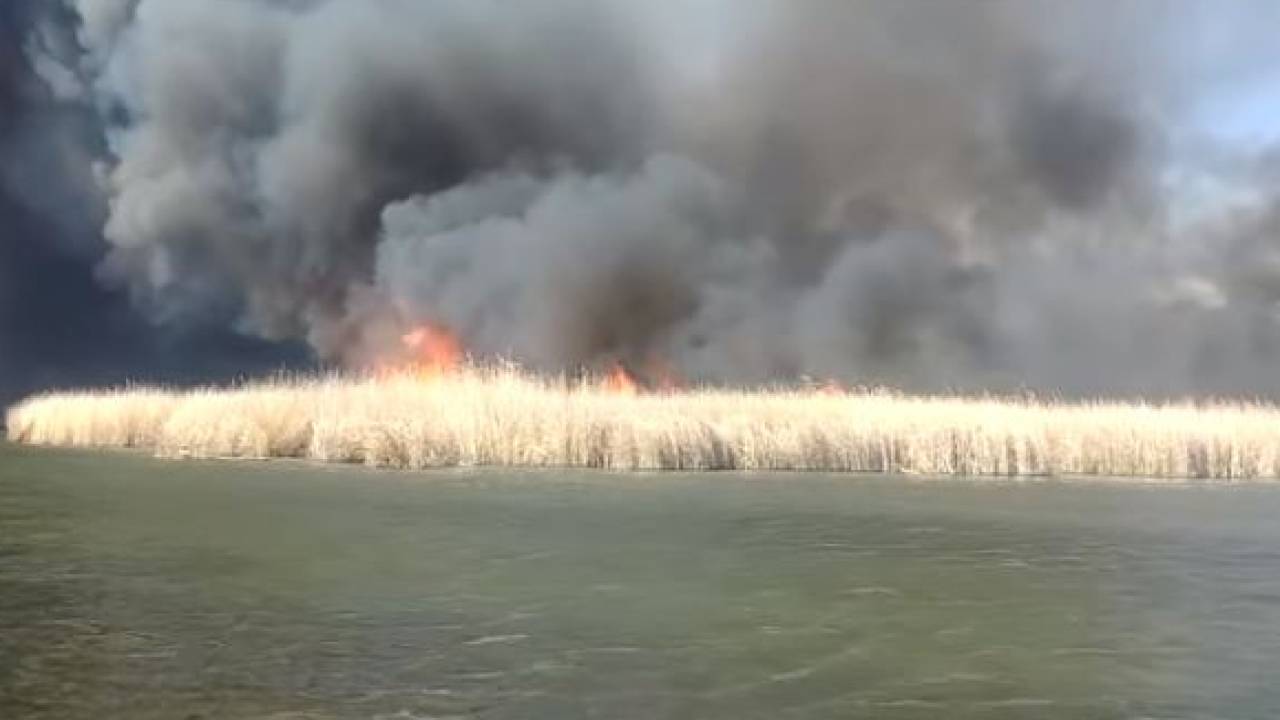 В Алматинской области произошел пожар. Сгорели коттеджи и водный транспорт