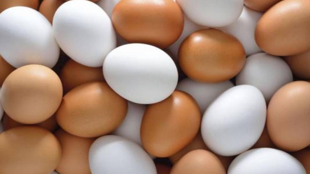 В Алматы продлили действие предельной цены на яйца 1 категории