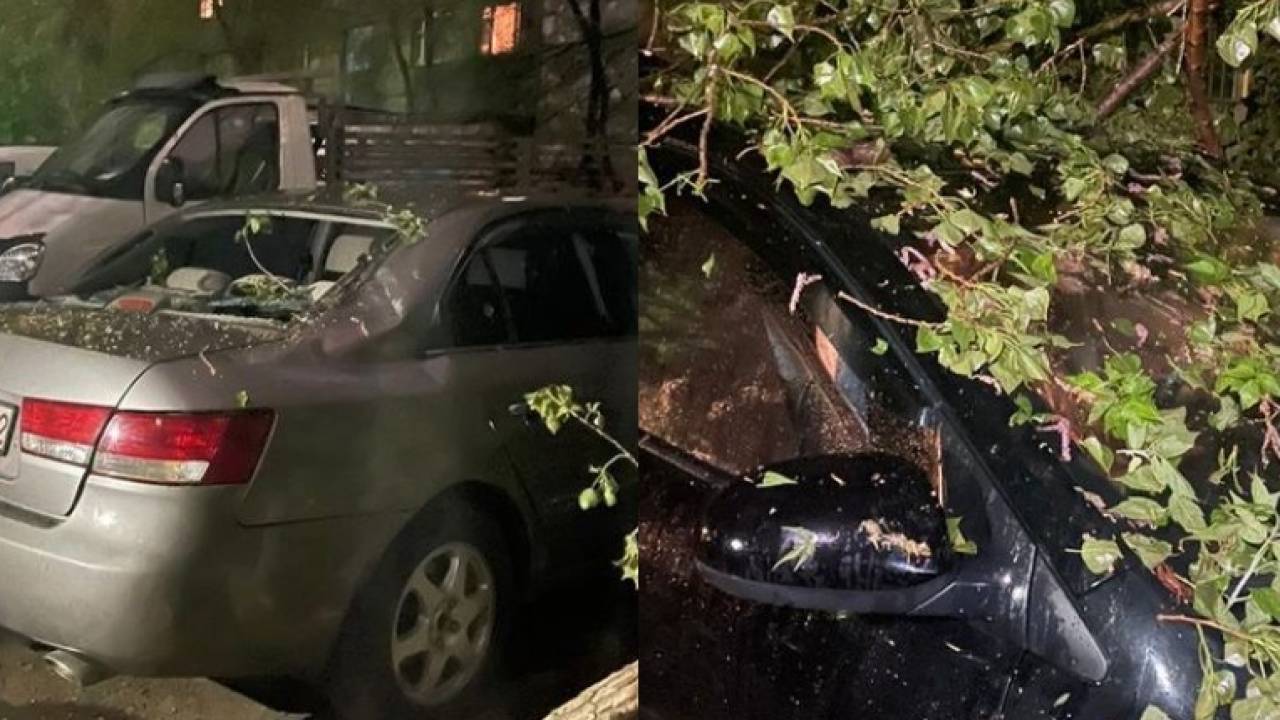 Деревья упали на автомобили из-за обильных осадков в Алматы