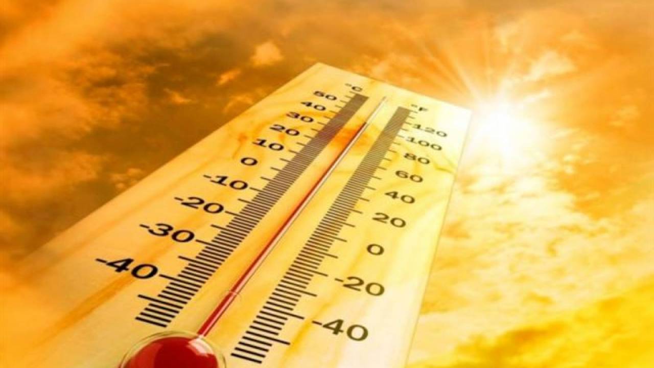 До 40 градусов жары ожидается в Казахстане 