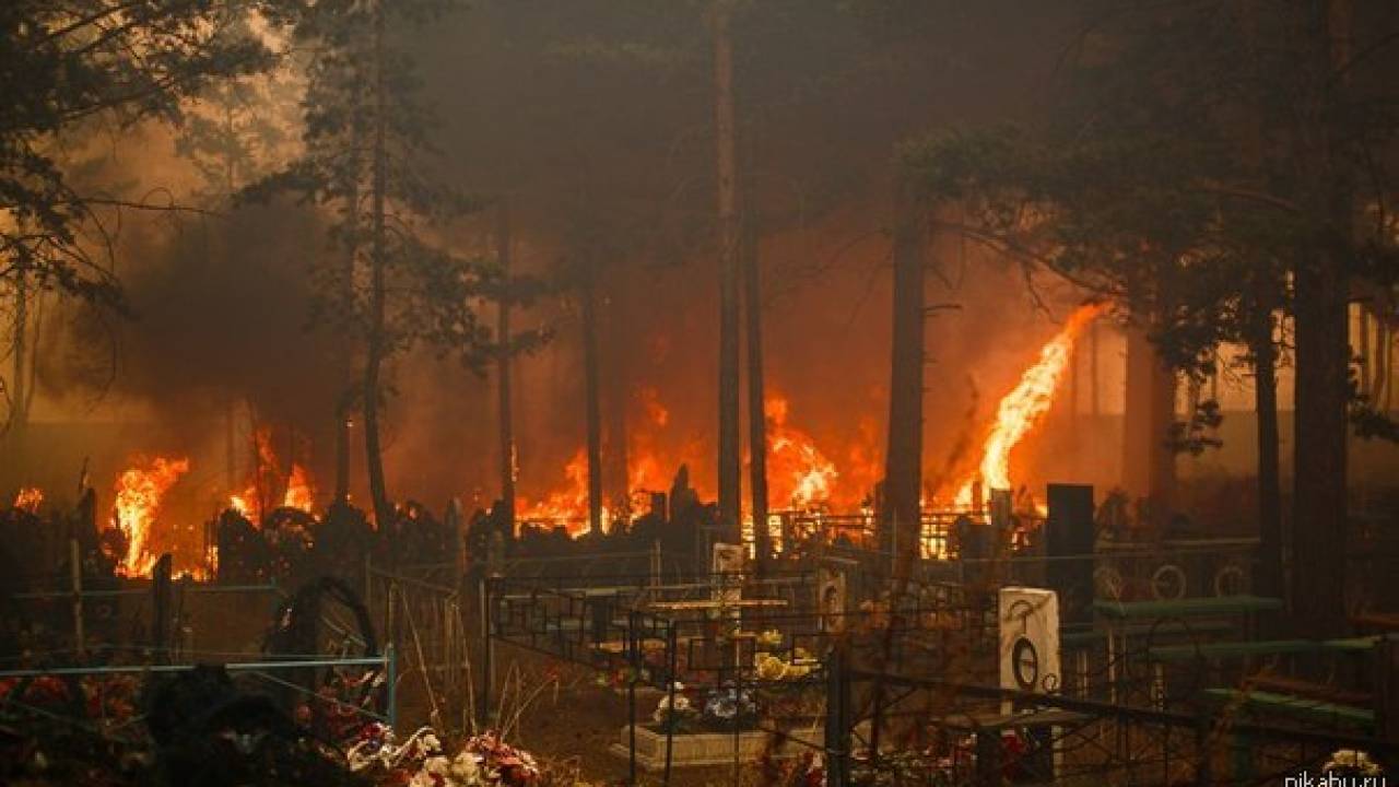 Сгорели кресты и памятники: на карагандинском кладбище произошел пожар