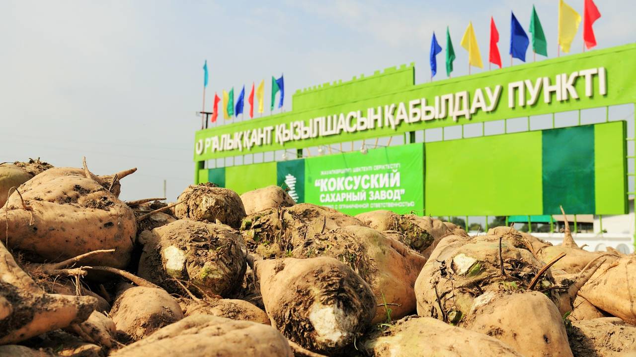 В Алматинской области восстановят еще два сахарных завода