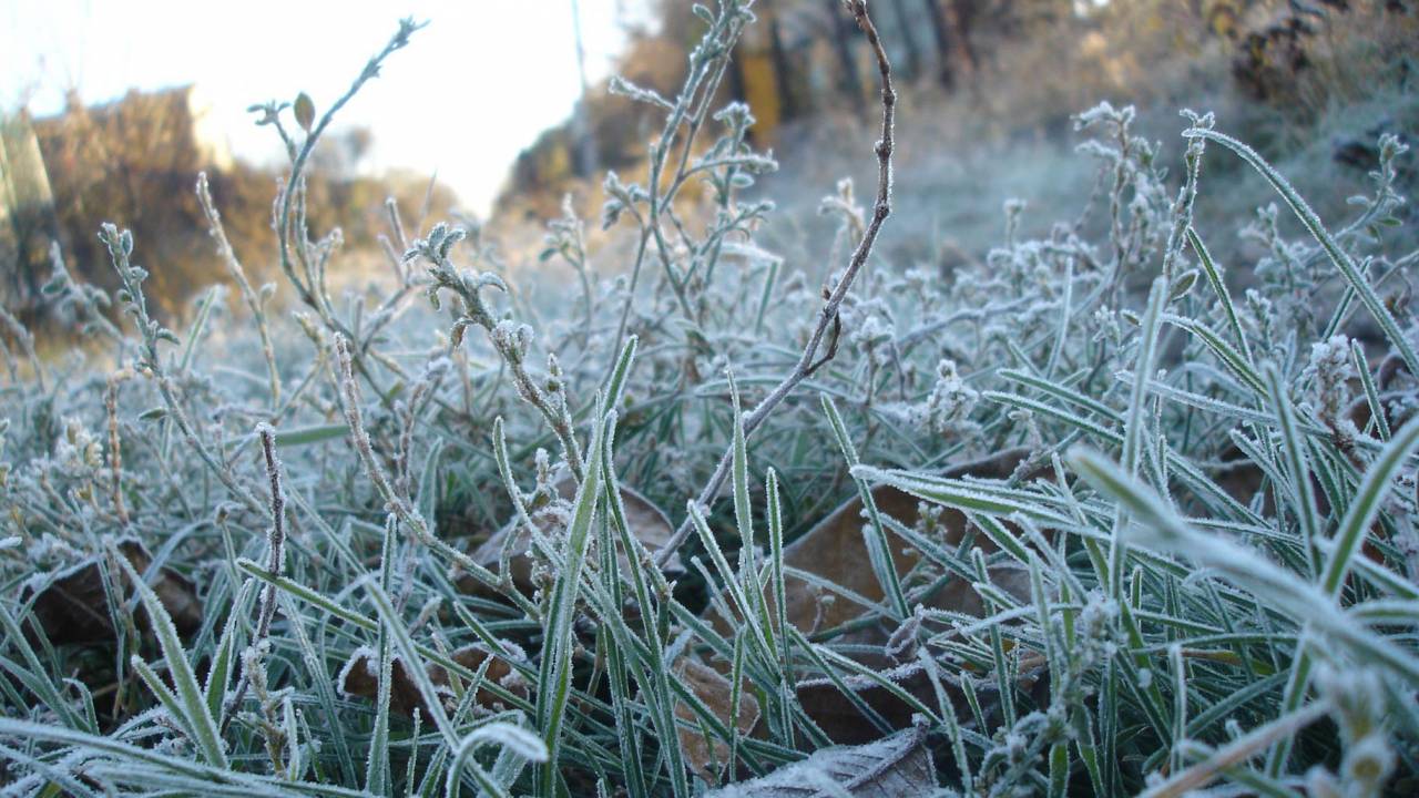 В Казахстане похолодает до минус двух градусов