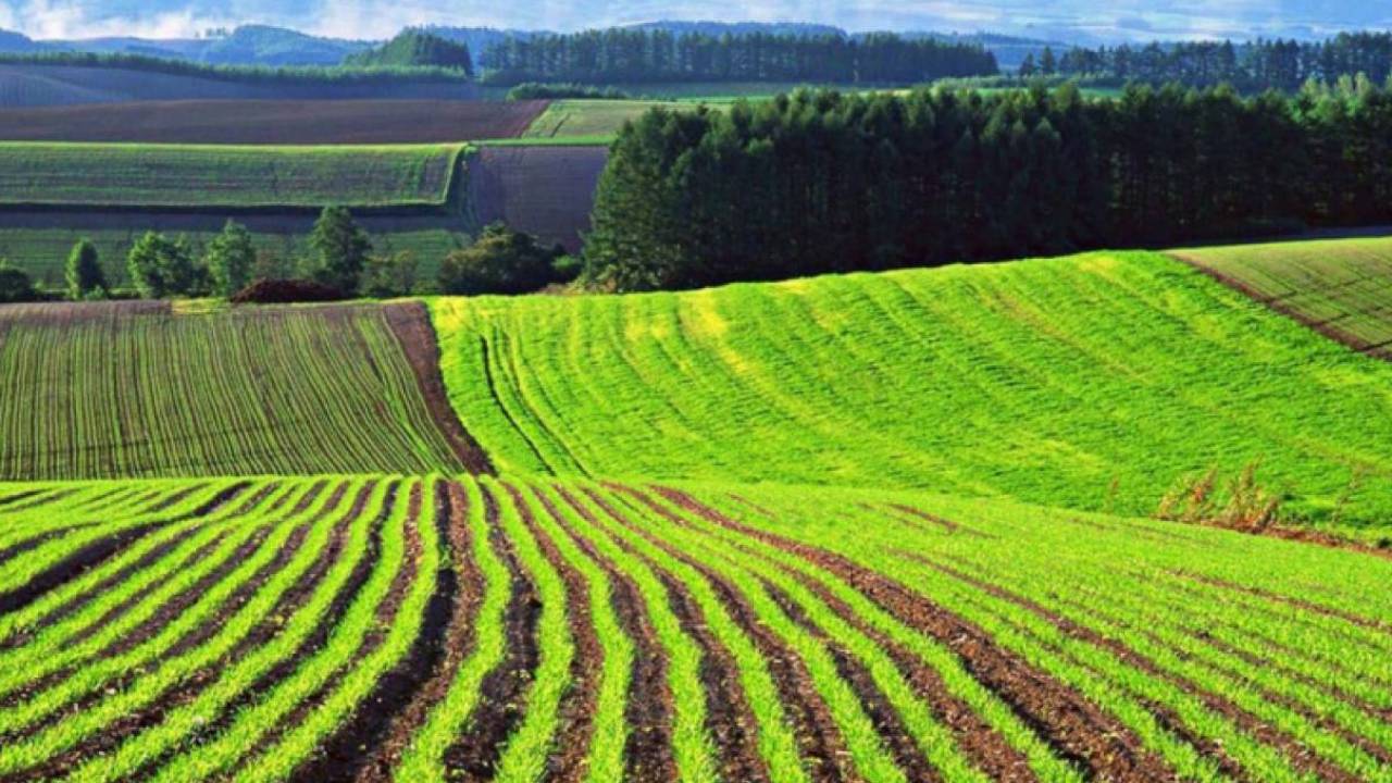Запрет на продажу иностранцам сельхозземель установлен в Казахстане