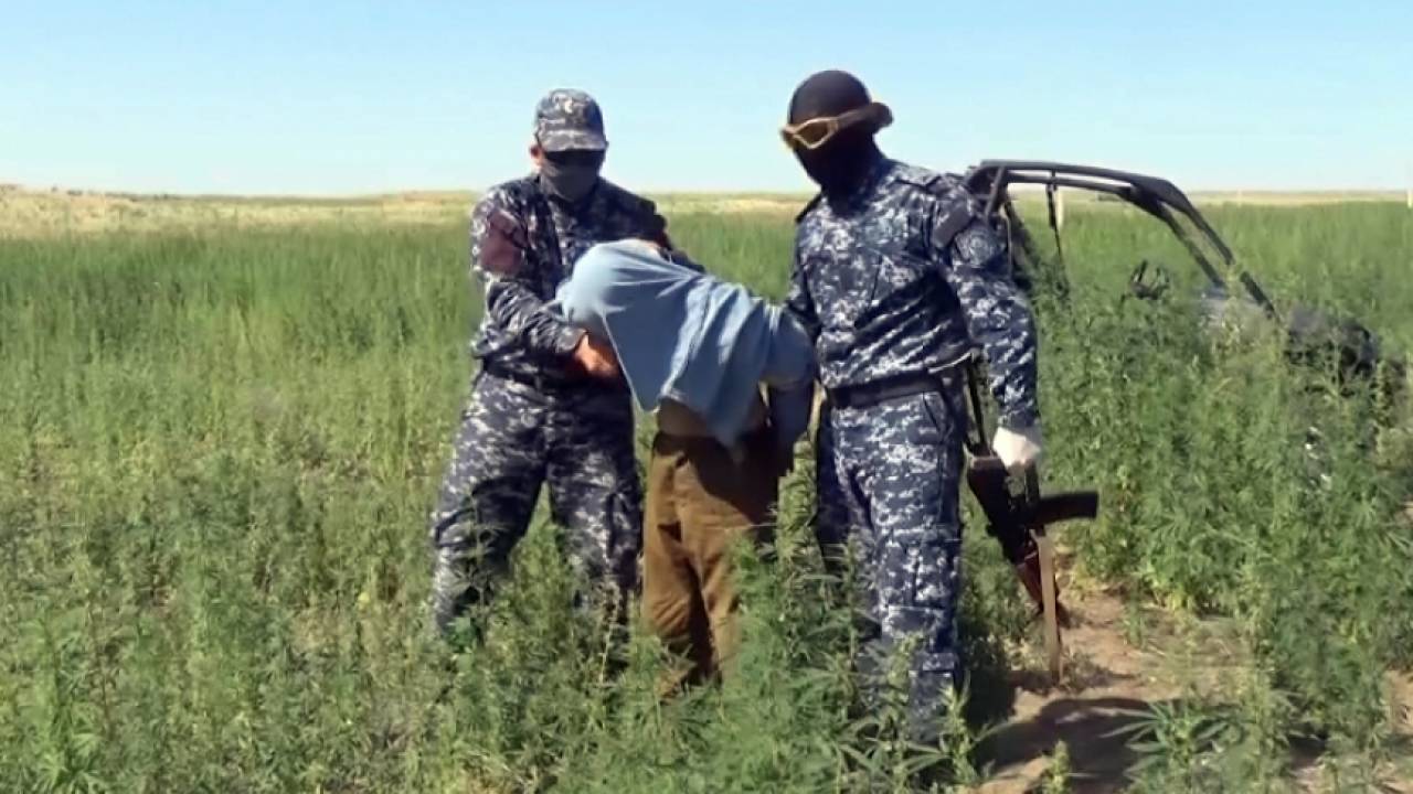 100 кг наркотиков пытались перевезти двое мужчин в Жамбылской области