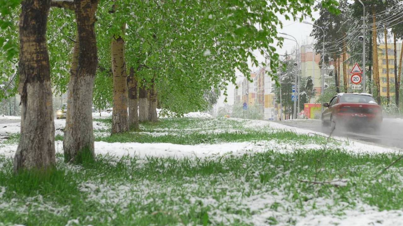 Снег и заморозки спрогнозировали в одном из регионов Казахстана