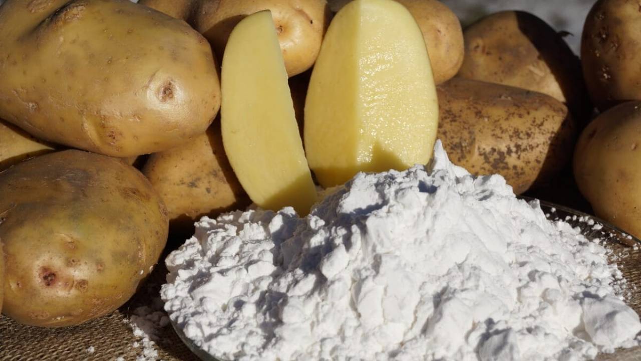 В Алматинской области построят завод по производству модифицированного картофельного крахмала