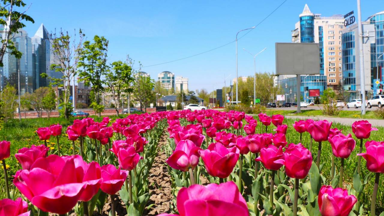 В Алматы пригласят зарубежных блогеров за 26 млн тенге