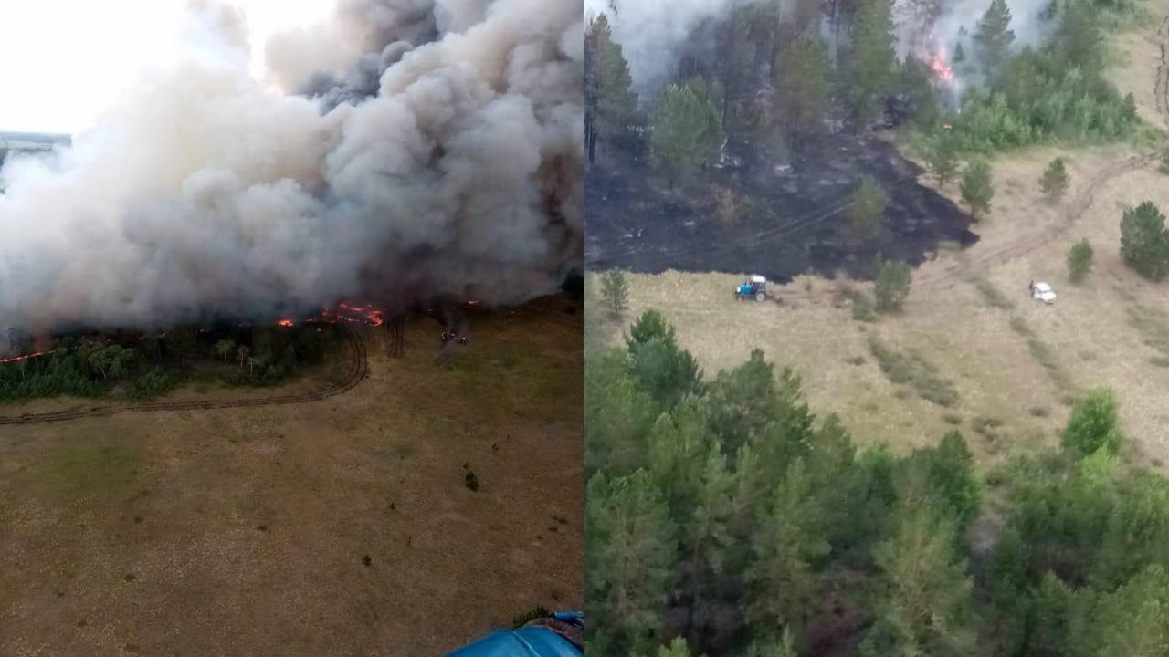 В Павлодарской области горел лес
