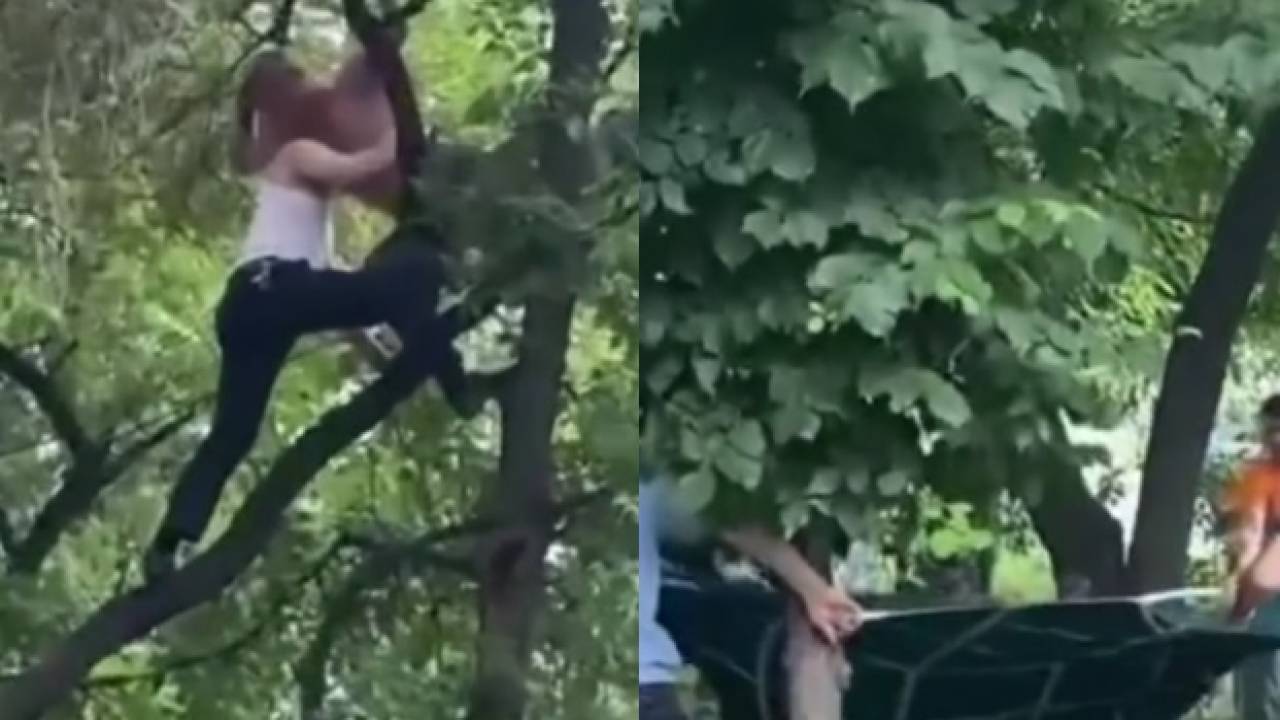 Видео с застрявшим на дереве мужчиной рассмешило казахстанцев