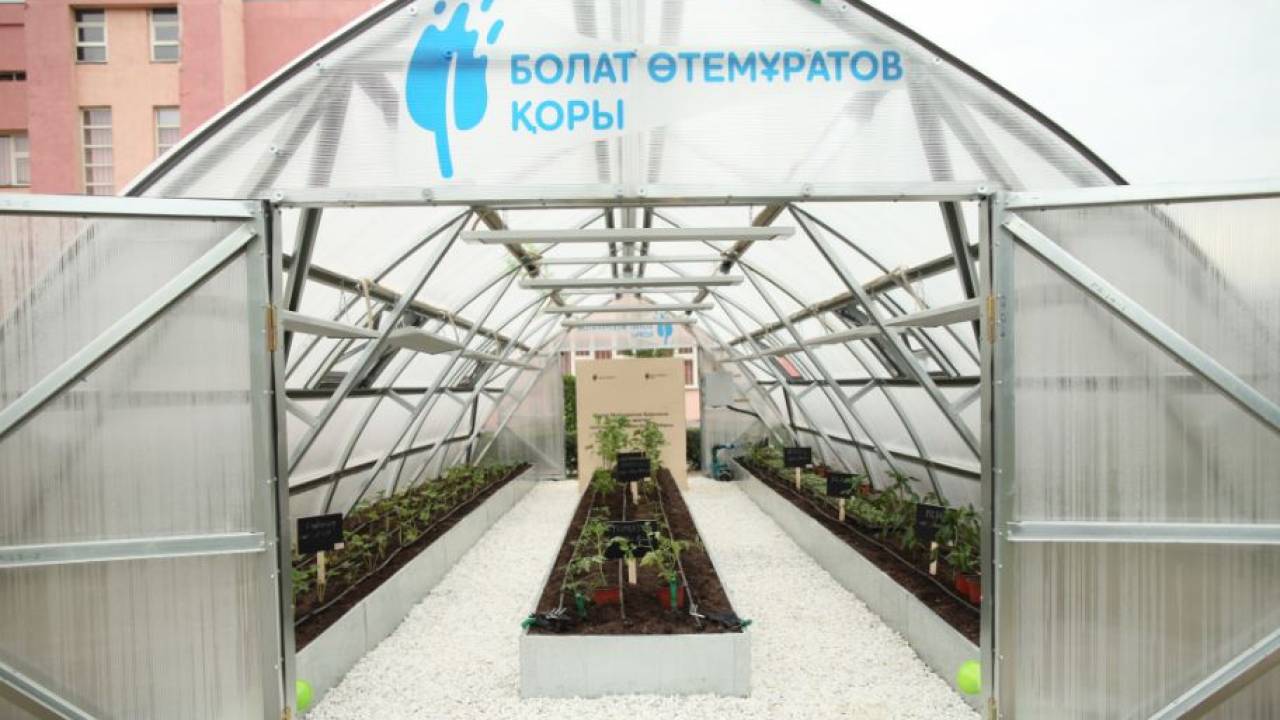 Фонд Булата Утемуратова объявляет о запуске проекта "Зеленые школы"