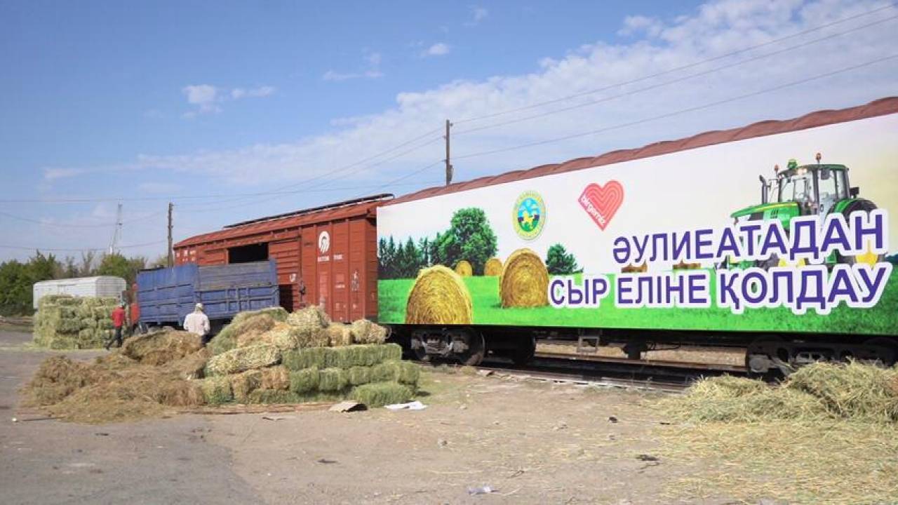 Жамбылцы отправили 33 тонны сена в Кызылординскую область