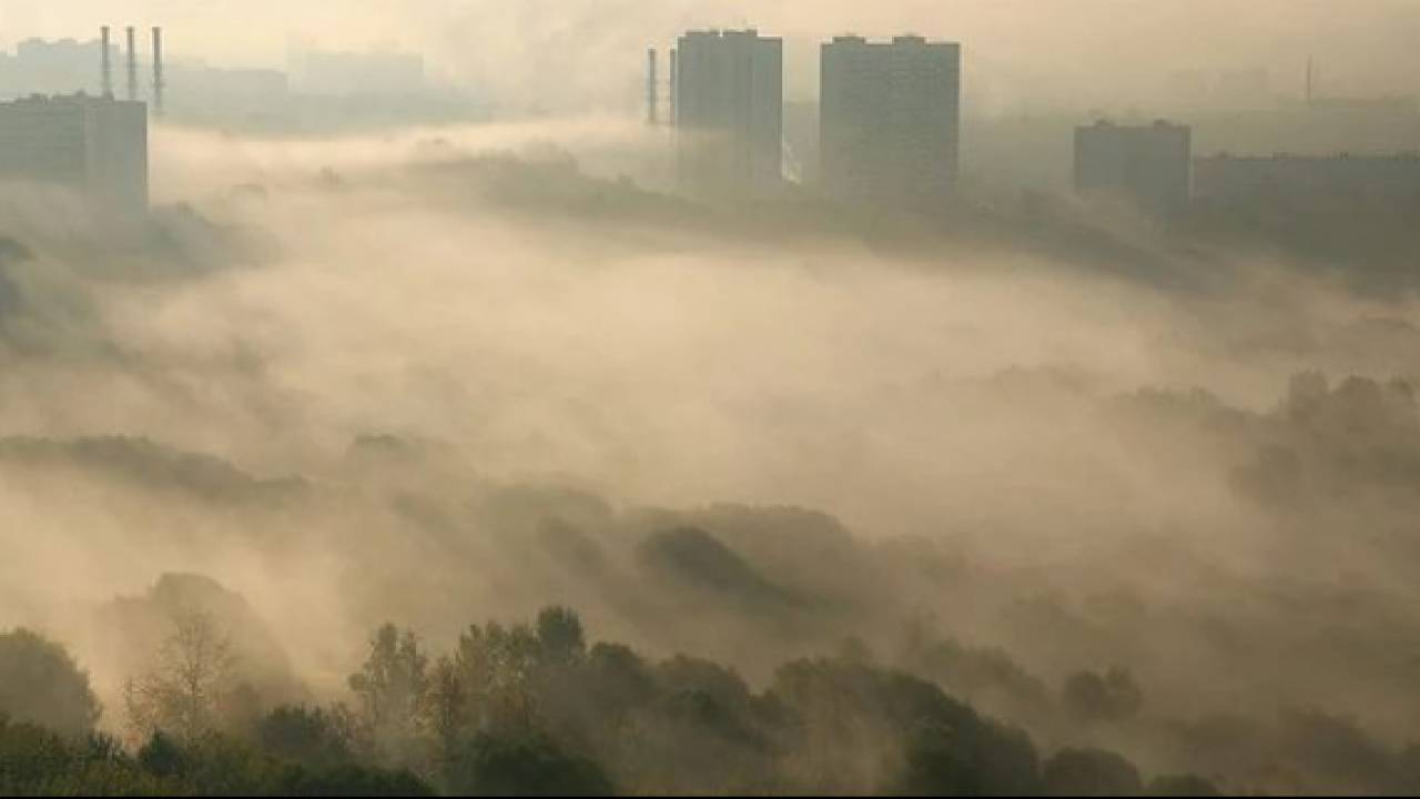 Дым от лесных пожаров в Якутии дошел до Павлодара