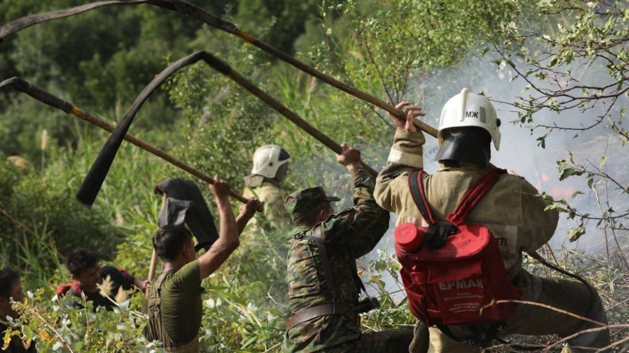 Найден предполагаемый виновник крупного пожара на склоне гор в Алматы