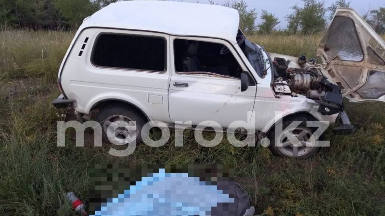 Сотрудница акимата погибла в аварии на служебном авто в ЗКО