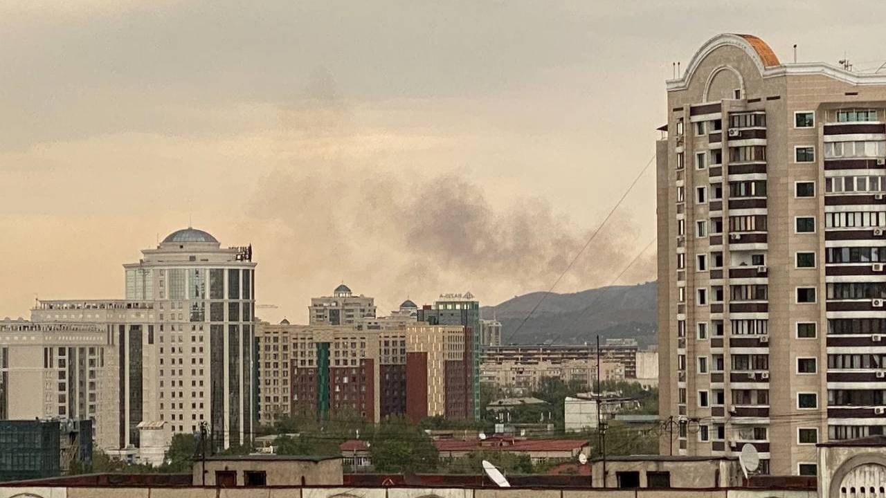 Сухостой горит на склоне горы в Алматы