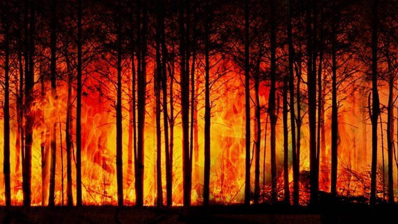 Восток Казахстана накрыл густой смог от лесных пожаров в России