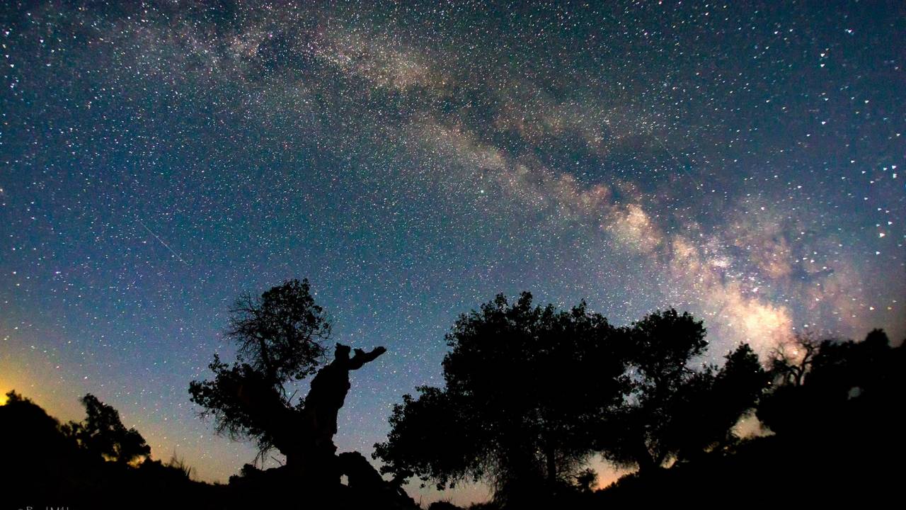 Звездопад года: где казахстанцы смогут наблюдать метеорный поток Персеиды