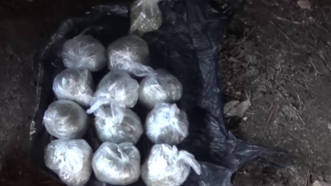 200 кг марихуаны изъяла полиция у членов ОПГ