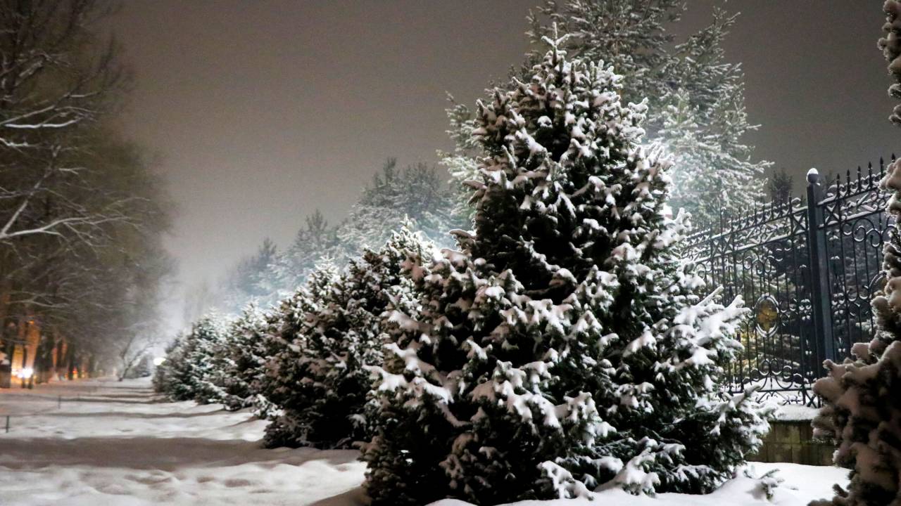Сильный снег ожидается в Алматы 