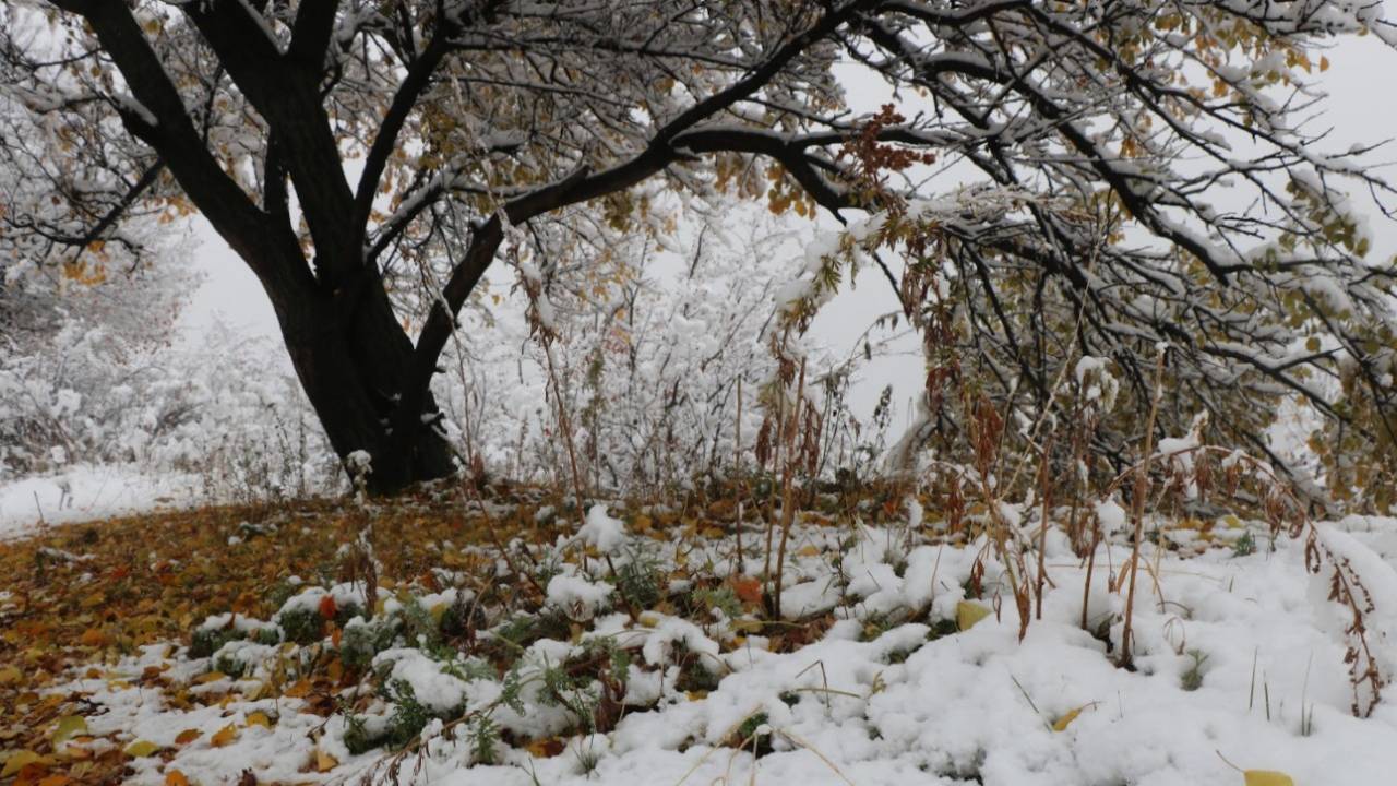Снег ожидается 17 ноября в Казахстане 
