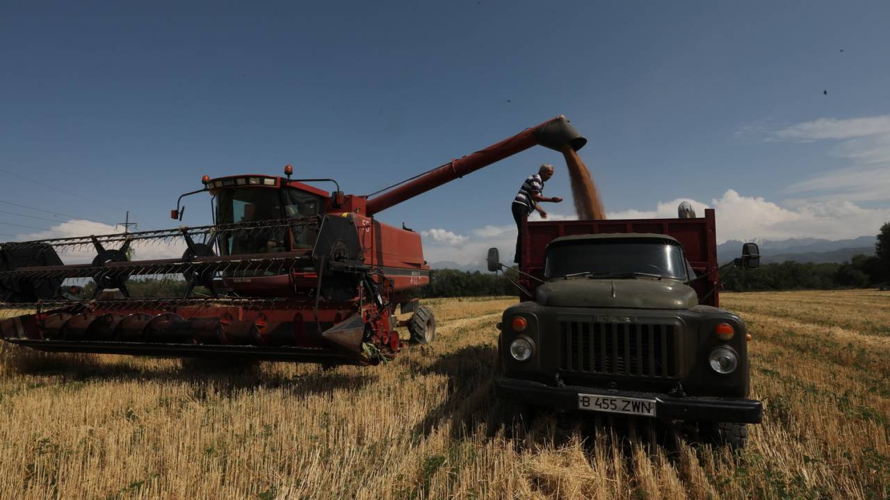 Всемирный банк выделит грант на реформирование системы сельского хозяйства Казахстана