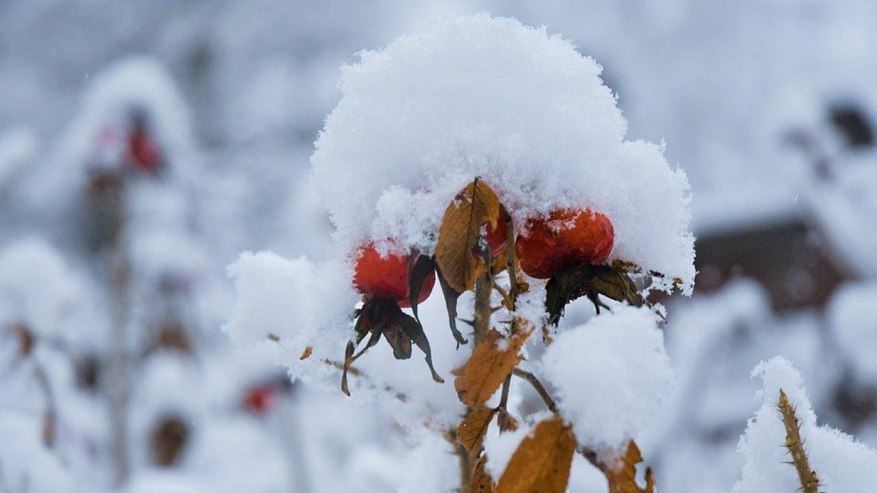 Жителям лишь одной области Казахстана повезет с погодой 18 ноября
